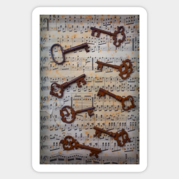 Skeleton Keys With Sheet Music Sticker by photogarry